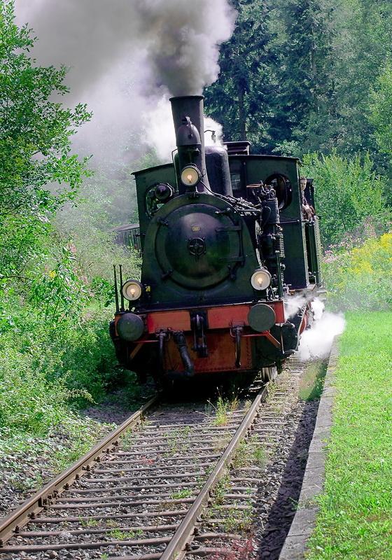 08.06.2010 Eisenbahn-Pfalz-2-2010-D34_0402.jpg